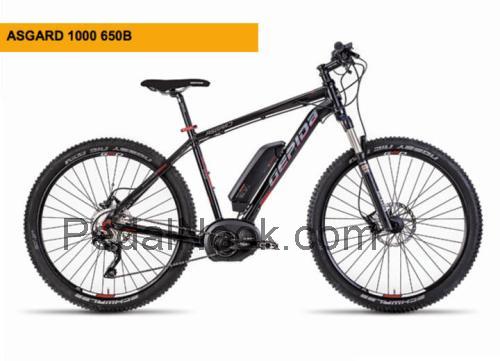 Gepida Asgard 1000 fiche technique et avis